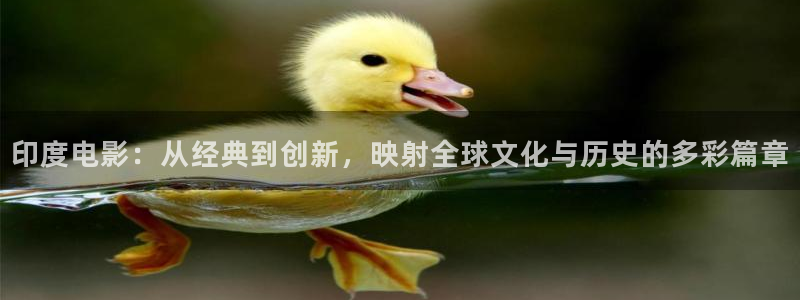 好看影院在线观看电影