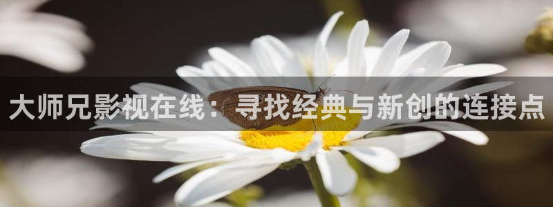 好看影院在线观看