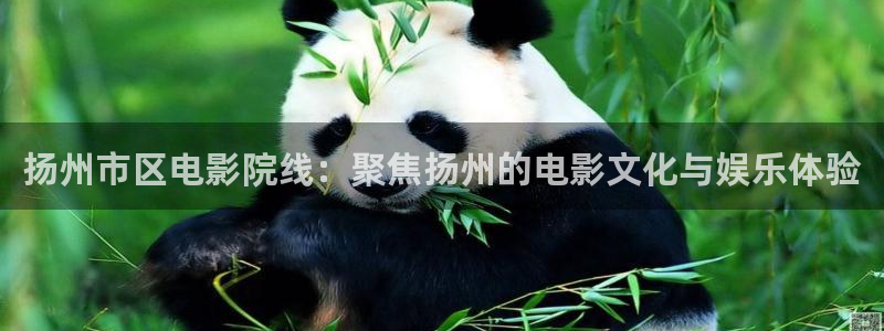 好看影院大全：扬州市区电影院线：聚焦扬州的电影文化与娱乐体验