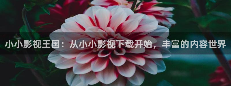 好看影院在线观看电影