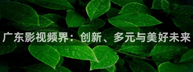 好好看影院：广东影视频界：创新、多元与美好未来