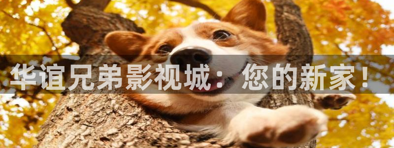 好看影院在线观看电影：华谊兄弟影视城：您的新家！